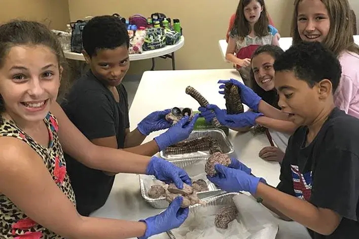 Middle School Programs