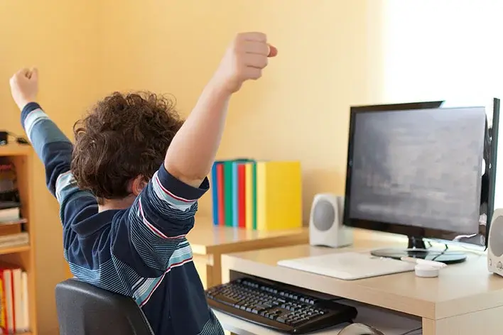 Online Learning